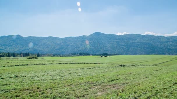 Campo Está Cortado Día Hermoso Sol Brilla — Vídeo de stock