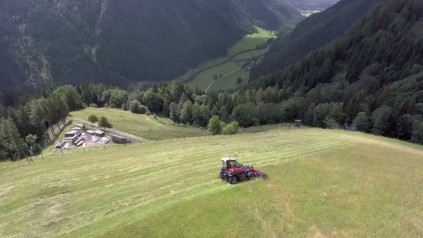 Fazendeiro Está Preparando Feno Uma Colina Íngreme Uma Fazenda Vista — Vídeo de Stock