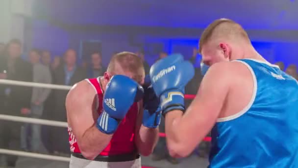 ザレック スロベニア 2017年12月 2人のスポーツマンがボクシングリングで戦っている 彼らは顔が赤く見える 観客は彼らを見ている — ストック動画