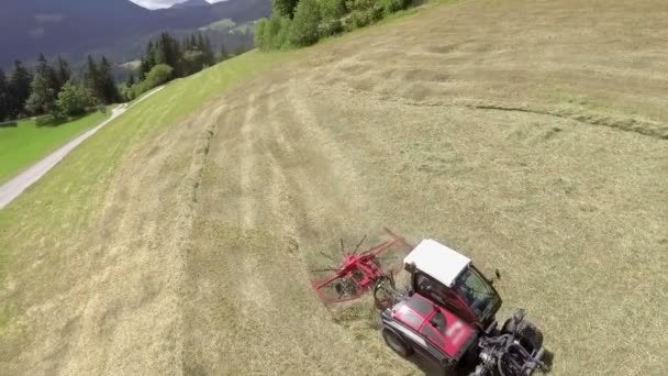 農家は干し草を準備するときに夏の数ヶ月で多くの仕事を持っています 空中射撃だこれは山のどこかで起こっている — ストック動画