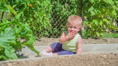 Kirli zeminde oturan, küçük kırmızı domatesin tadını alan ve tadını sevmeyen tatlı bir kız bebek..