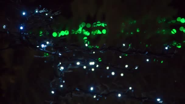 Noel Arifesinde Renkli Peri Işıklarıyla Kaplanmış Sihirli Ağaçlar — Stok video