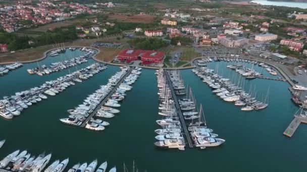 Nombreux Voiliers Yachts Dans Marina — Video
