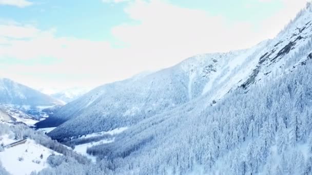 Bomen Bergen Zijn Bedekt Met Sneeuw Dag Mooi Zonnig — Stockvideo