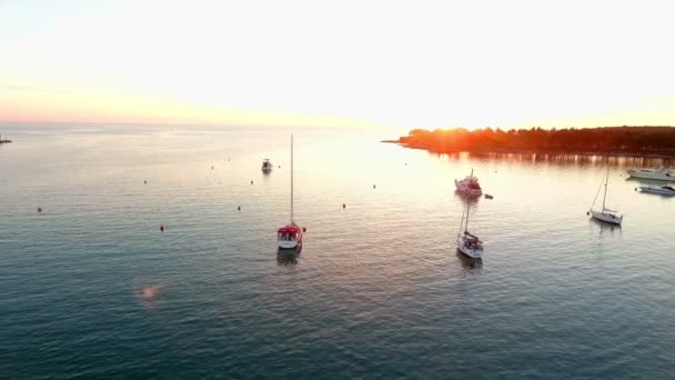 Osservare Barche Vela Nella Vista Del Tramonto — Video Stock