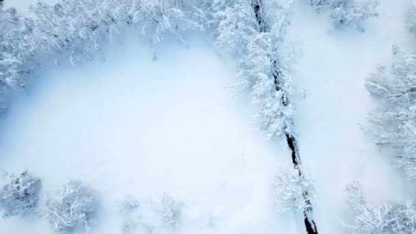 Rivier Bevroren Het Landschap Bedekt Met Sneeuw Het Mooi Wit — Stockvideo