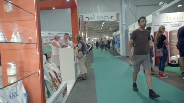 Gornja Radgona Slovenia August 2017 Agra 2017 Visitors Walking Booths — Stock Video