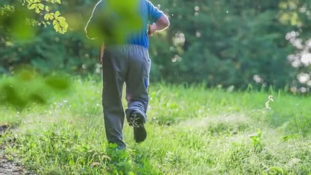 Man Walking Hill Carrying Wooden Stick Dressed Sports Clothes — Stock Video