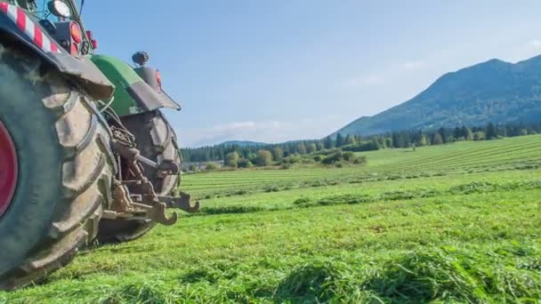 Tractor Está Conduciendo Gran Campo Hierba Verde Día Hermoso Soleado — Vídeos de Stock