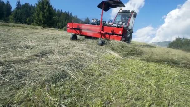 Tractor Rijdt Bergafwaarts Boer Beweegt Hooi Rond Een Steile Heuvel — Stockvideo