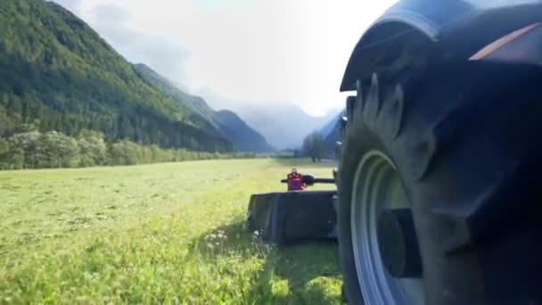 Tractor Está Conduciendo Través Campo Hierba Grande Está Cortando Hierba — Vídeo de stock