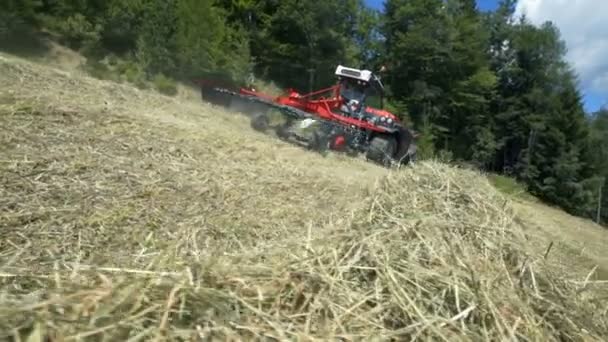 Ein Roter Traktor Fährt Bergab Und Der Bauer Bereitet Heu — Stockvideo