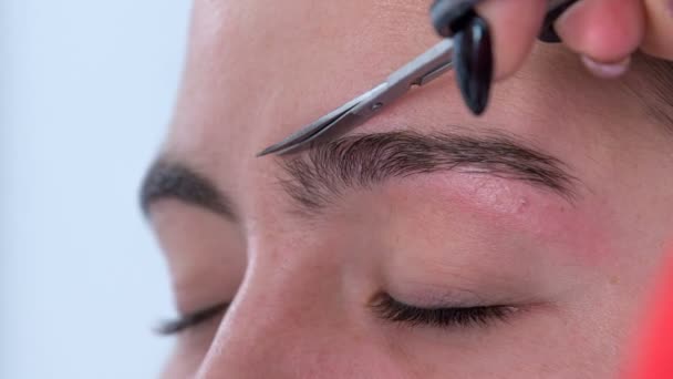 Maquillador Está Usando Tijeras Para Cortar Las Cejas Del Cliente — Vídeos de Stock