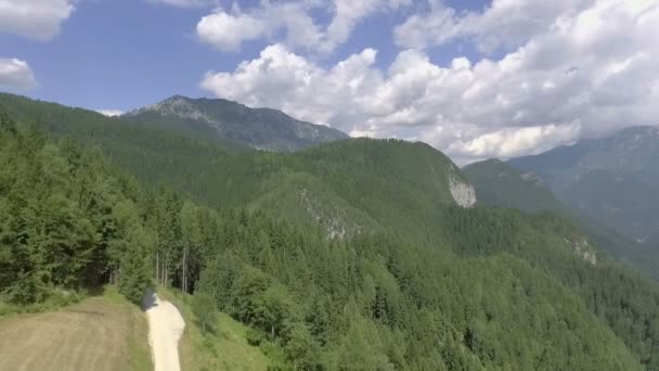 Montañas Bosques Hermoso Día Verano Vista Hermosa Disparo Aéreo — Vídeo de stock