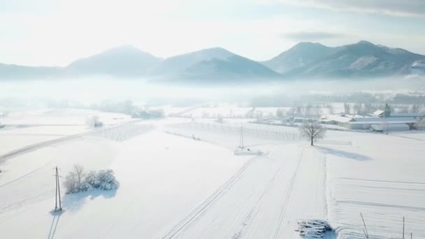 Nádherná Bílá Krajina Zima Sněžilo Před Nocí — Stock video