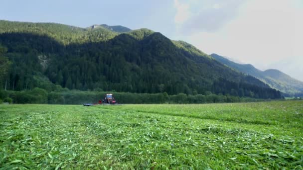 Ett Stort Grönt Gräs Fält Hälften Den Redan Skuren Jordbrukaren — Stockvideo