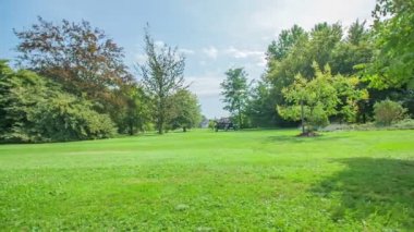 Ön planda ağaçlar ve çalılar ile muhteşem ve olağanüstü park ile ilk binmek Retro Amerikan şık ahşap araba.