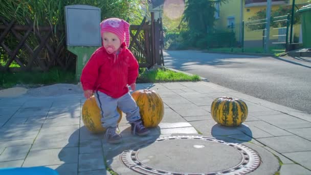 Una Niña Pequeña Sienta Una Calabaza Grande Luego Levanta Ver — Vídeo de stock