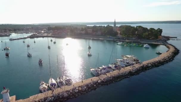 Miasto Novigrad Chorwacji Ścianą Morską — Wideo stockowe