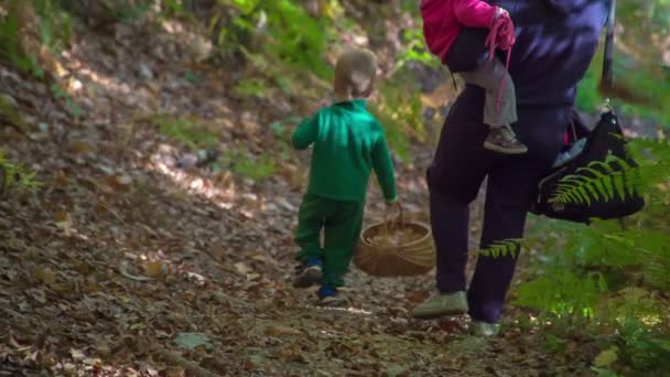 Young Family Walks Forest Path Small Boy Carrying Basket Leaves — Stock Video