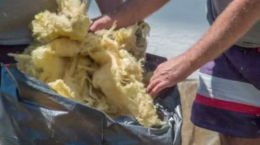 Siyah plastik torbaya cam yünü sıkıştıran bir erkek. Cam lifleri havada uçuşuyor..