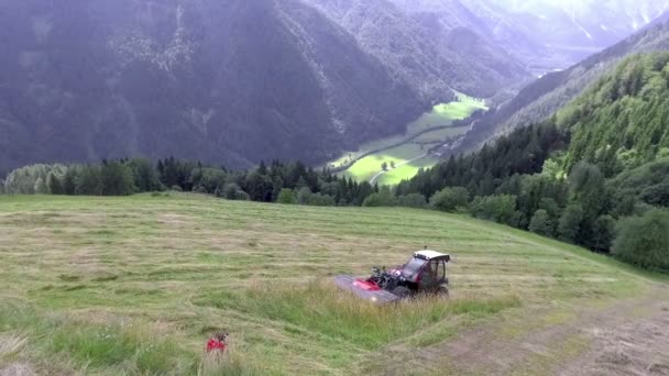 Röd Traktor Kör Uppför Och Klipper Gräs Med Speciell Maskin