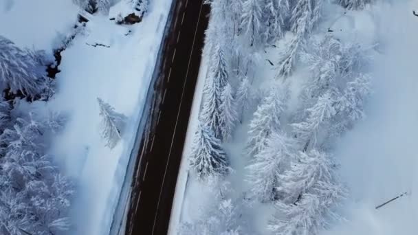 Tylko Tutaj Następnie Samochód Jeździ Tej Drodze Krajobraz Góry Jest — Wideo stockowe