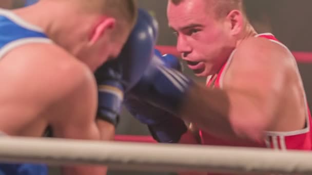 Zalec Slovenië December 2017 Boxer Een Uniform Raakt Boxer Een — Stockvideo