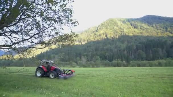 一辆拖拉机正驶过一片巨大的草地 它正用农业机械割草 洛加尔山谷很大 农民有很多工作要做 — 图库视频影像