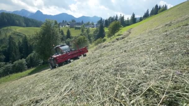 農家が草原に出て干し草を準備しているとき 農業機械の熊手は速く動いています 夏の時間だ — ストック動画