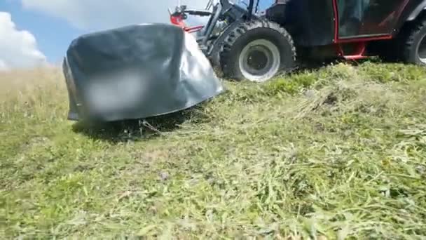 现在是夏天 农民们正在山上割草 他们以后会用它做干草给动物 — 图库视频影像