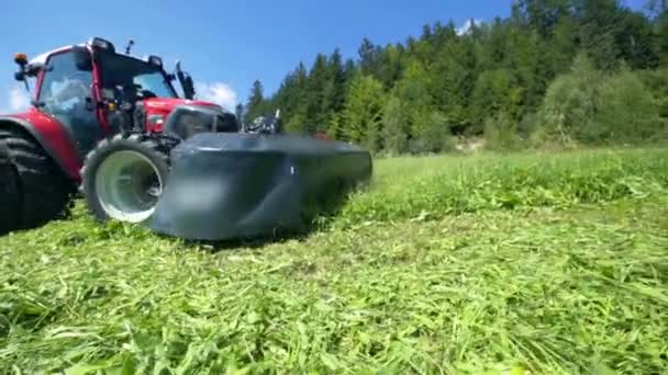 Fazendeiro Está Dirigindo Seu Trator Está Cortando Grama Verde Bonita — Vídeo de Stock