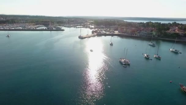 Remarkable View Marine Novigrad — Stock Video