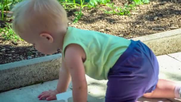 Curioso Bambino Alla Scoperta Intorno Giardino Tirando Fuori Tag Rucola — Video Stock