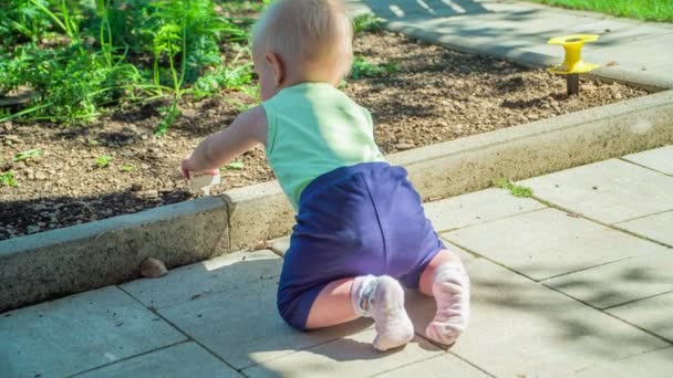 Entzückender Kleiner Junge Spielt Garten Und Zieht Das Zuckerbrot Etikett — Stockvideo