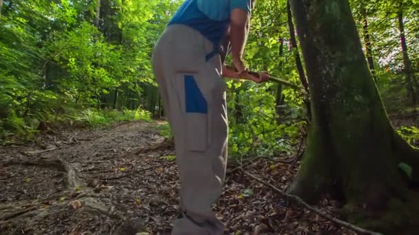 Skogshuggare Arbetskläder Använder Yxa För Att Skära Ner Små Grenar — Stockvideo