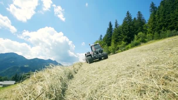 緑のトラクターが下り坂を運転していて 暑い夏の日に干し草を準備しています — ストック動画