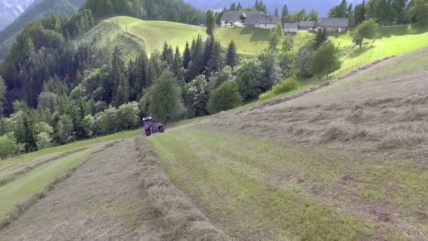 Tracteur Prépare Foin Sur Une Colline Gros Tas Foin Bas — Video