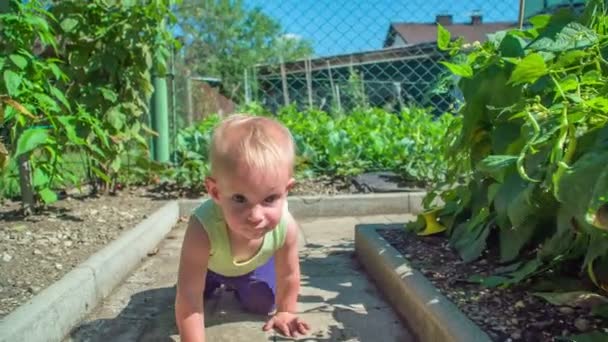 Adorável Menina Lentamente Rastejando Jardim Seguida Senta Bate Palmas Suas — Vídeo de Stock