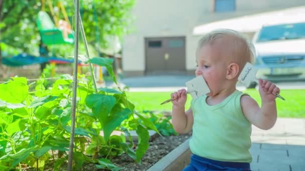 愛らしい幼児はゆっくりとクロールし 興味深いことに暑い晴れた日に屋外で発見します — ストック動画