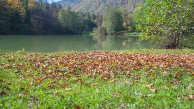 Yere bir kova bazı kir atma.