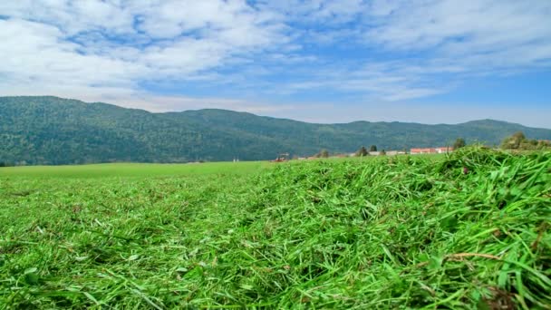 Можем Увидеть Свежескошенную Зеленую Траву Большом Лугу День Необычайно Красив — стоковое видео