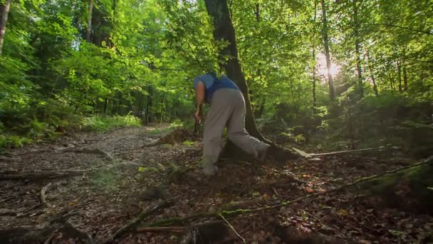 Forester Med Vass Yxa Händerna Går Runt Eken Stammen Bara — Stockvideo