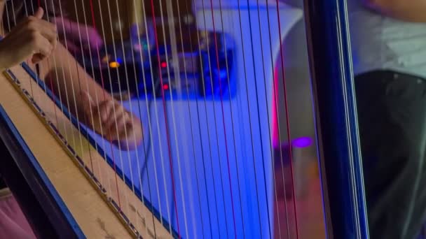 Ung Brunett Passionerat Och Sensuellt Spelar Harpa Och Underhåller Gästerna — Stockvideo
