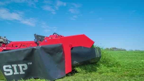 许多刚割的草从机器上掉下来 农民们正在一片大田里割草 — 图库视频影像