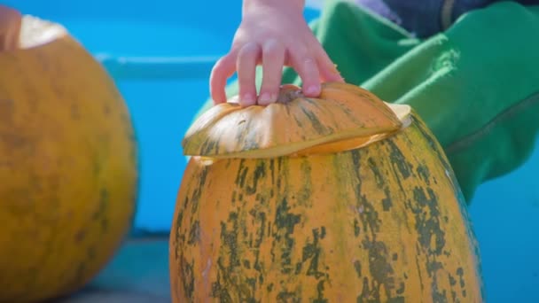 Ein Kleiner Junge Versucht Den Kürbisdeckel Wieder Seinen Platz Stellen — Stockvideo