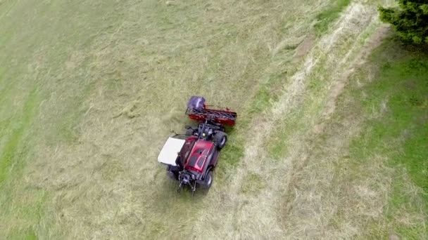 丘の上で干し草を準備するとき 農業機械は本当に速く回っています 空中射撃 — ストック動画
