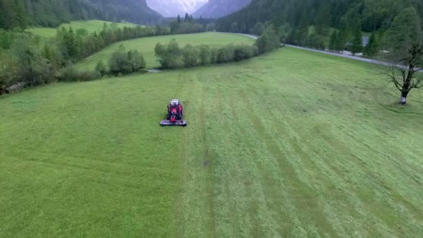 Farmers Working Dilligently Summer Time Need Prepare Hay Tractor Driving — Stock Video