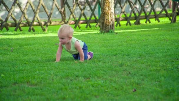 Adorable Niño Arrastra Lentamente Curiosamente Descubre Aire Libre Día Soleado — Vídeo de stock