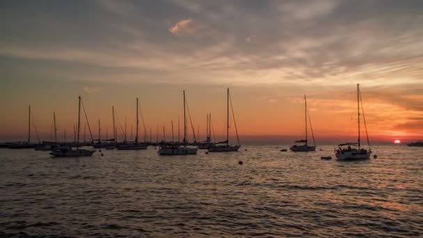 Lots Sailing Boats Enjoying Peaceful Evening Sea — Stock video